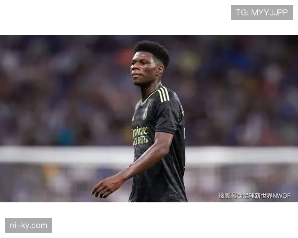 琼阿梅尼的战术价值是否高度依赖体系支撑